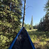 Review photo of Dispersed Camping--Mill Hollow/Utah FR054 by connor P., August 15, 2025