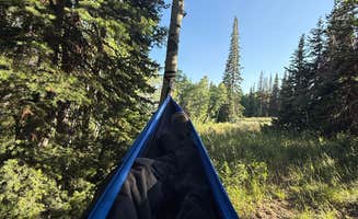 connor P.'s photo of tent camping at Dispersed Camping--Mill Hollow/Utah FR054 near Cottonwood Heights, UT