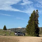 Review photo of Dispersed Camping--Mill Hollow/Utah FR054 by Belinda H., July 12, 2025
