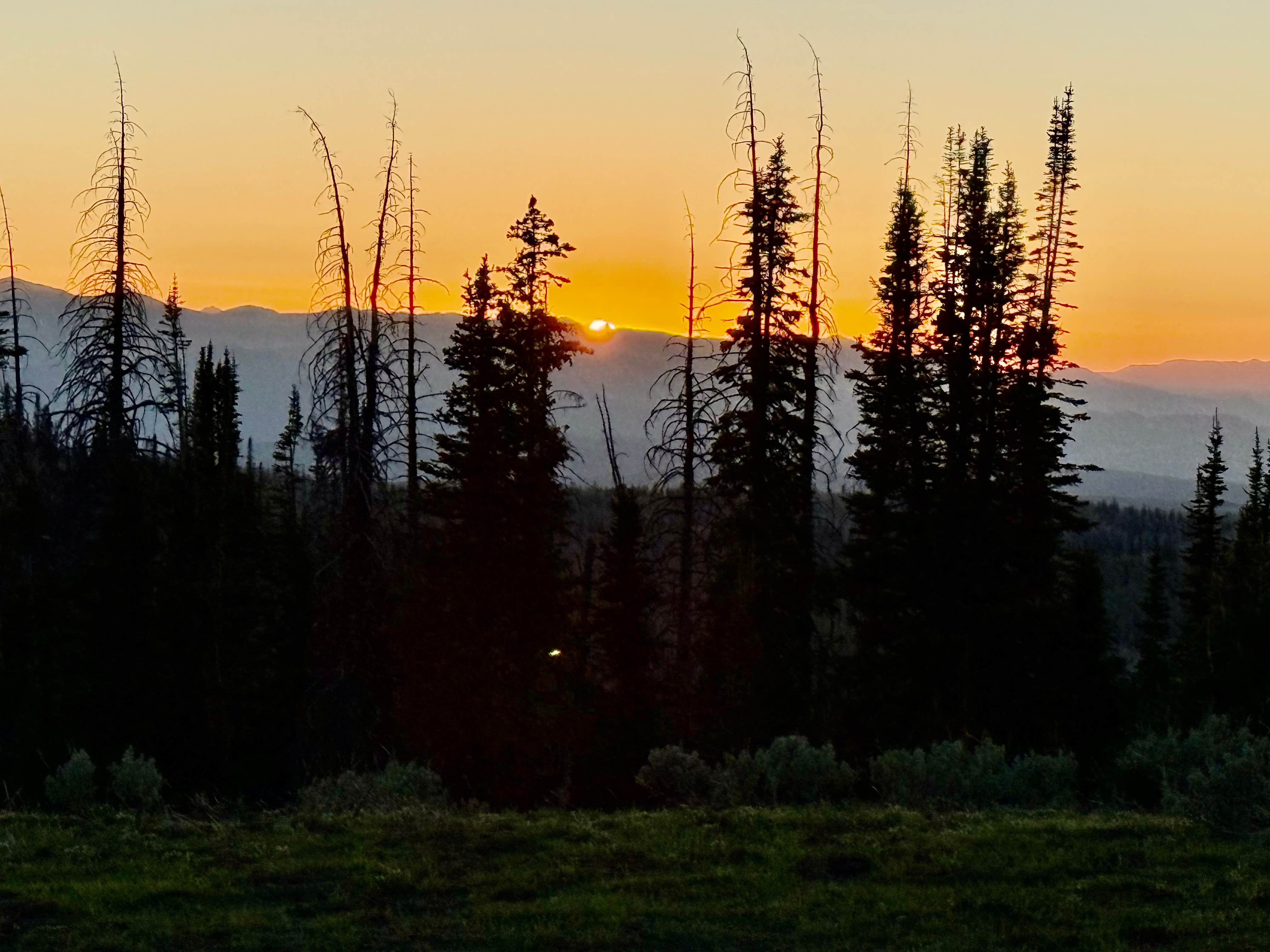 Belinda H.'s photo of a dispersed camping area at Dispersed Camping--Mill Hollow/Utah FR054 near Heber, UT