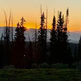 Review photo of Dispersed Camping--Mill Hollow/Utah FR054 by Belinda H., July 12, 2025