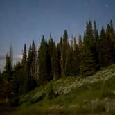 Review photo of Dispersed Camping--Mill Hollow/Utah FR054 by Belinda H., July 12, 2025