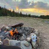 Review photo of Dispersed Camping--Mill Hollow/Utah FR054 by Belinda H., July 12, 2025