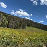 Review photo of Dispersed Camping--Mill Hollow/Utah FR054 by connor P., August 15, 2025