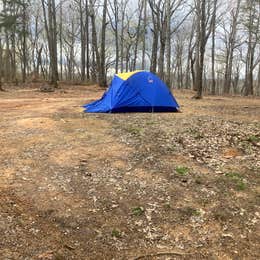 Dispersed Camping 