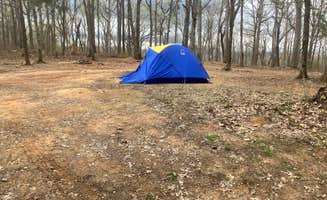 Daniel R.'s photo at Dispersed Camping off Falls Dam Trail near Uwharrie National Forest
