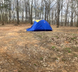 Camper-submitted photo from Dispersed Camping off Falls Dam Trail