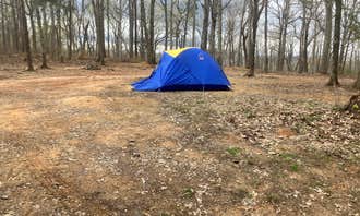Camping near Kings Mountain Point Picnic Pavilion (NC): Dispersed Camping off Falls Dam Trail, Badin, North Carolina