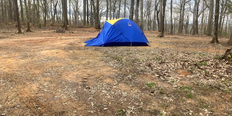 Camper submitted image from Dispersed Camping off Falls Dam Trail