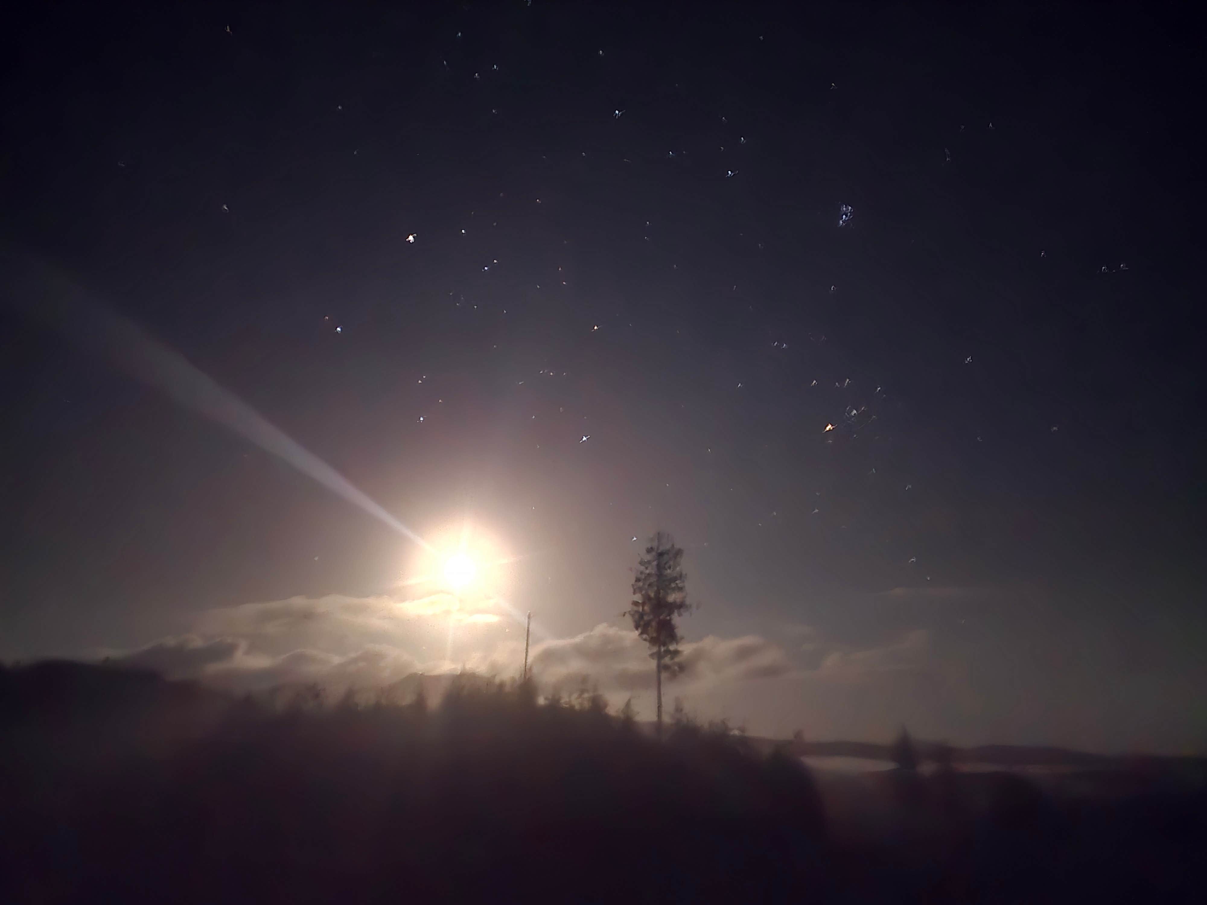 Camper-submitted photo at Dispersed Camping Near Cannon Beach near Buxton, OR