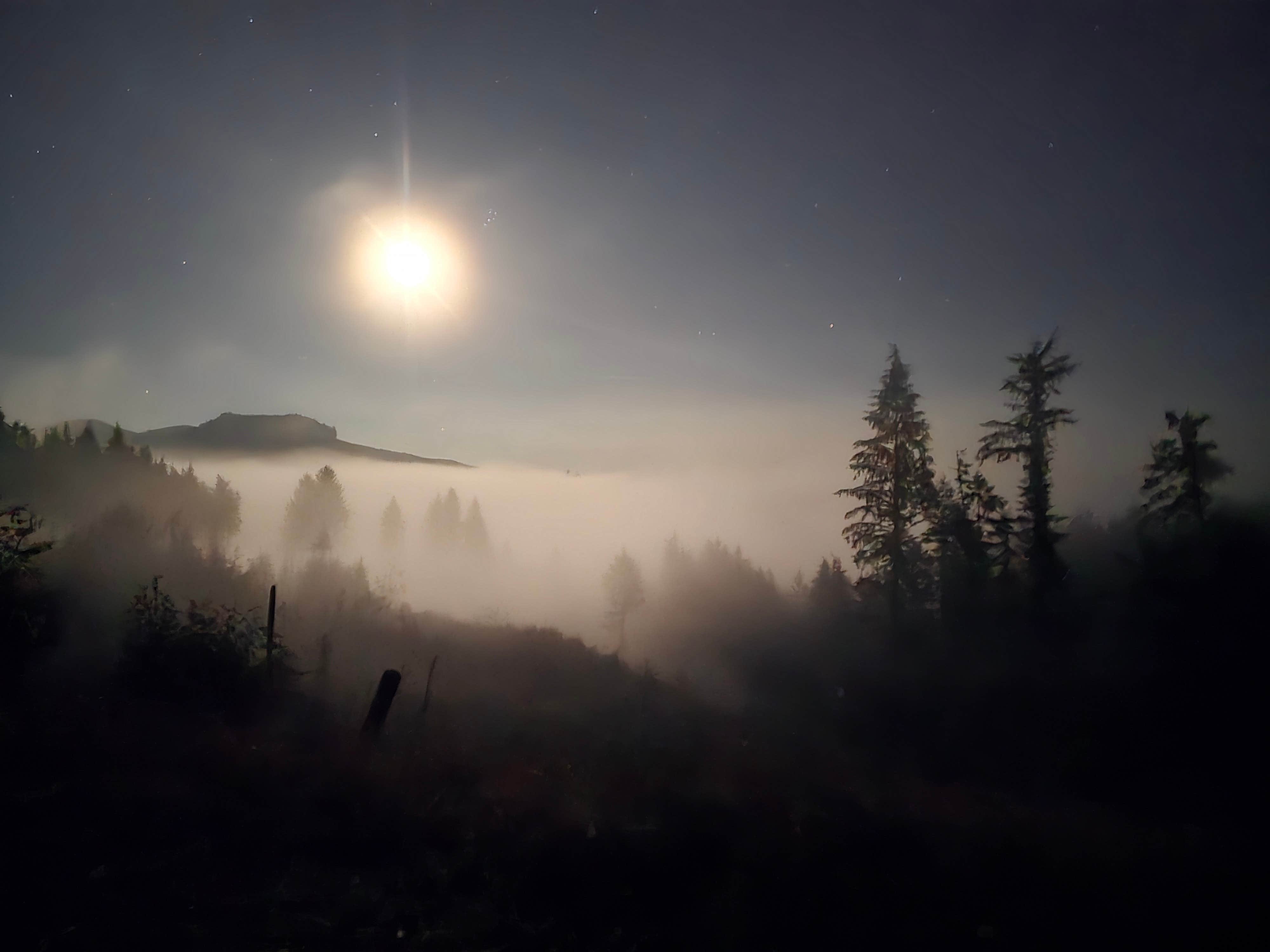 Camper-submitted photo at Dispersed Camping Near Cannon Beach near Buxton, OR