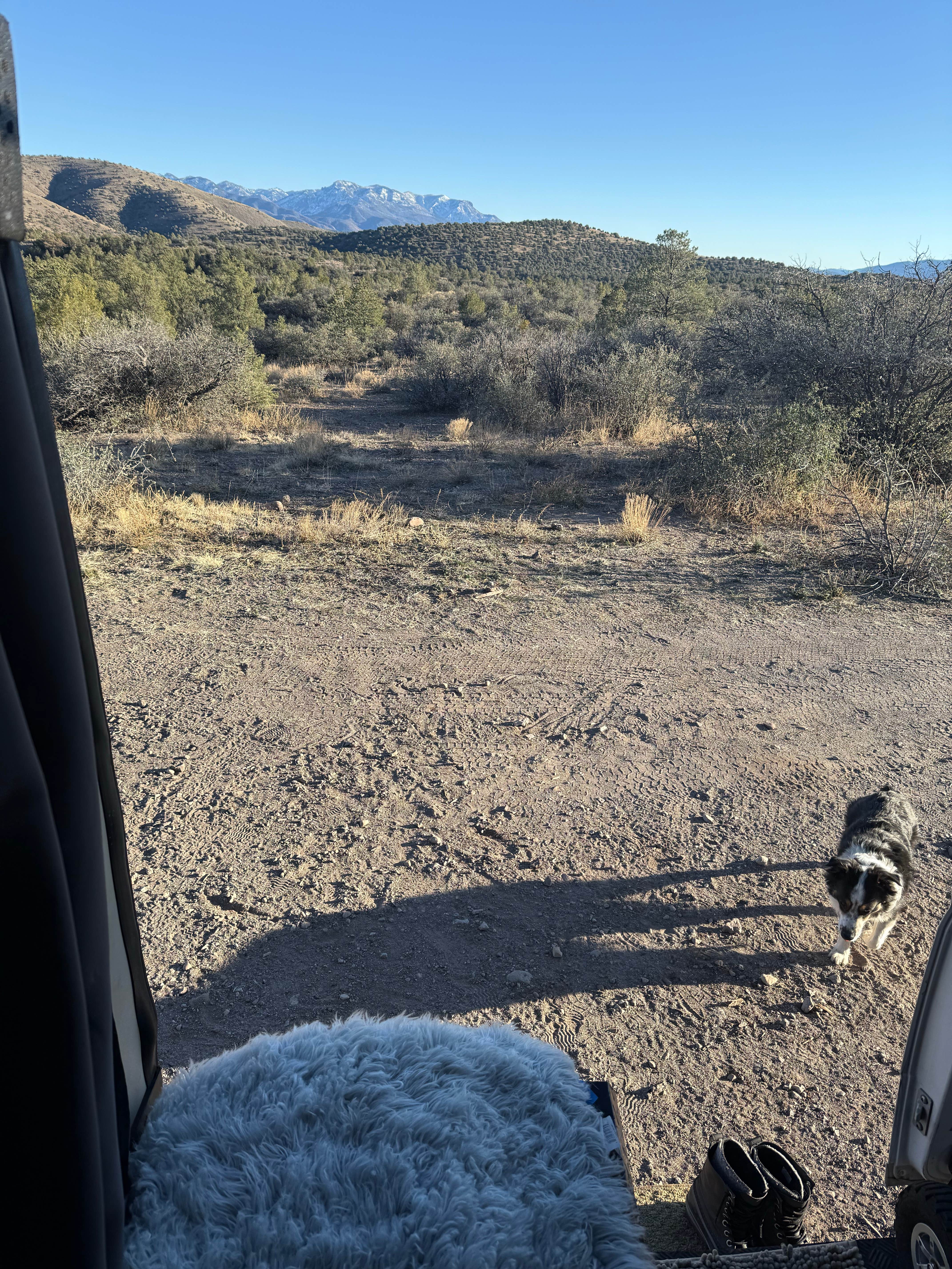 Camper-submitted photo at Dispersed Camping near Cosmic CG near Glenwood, NM