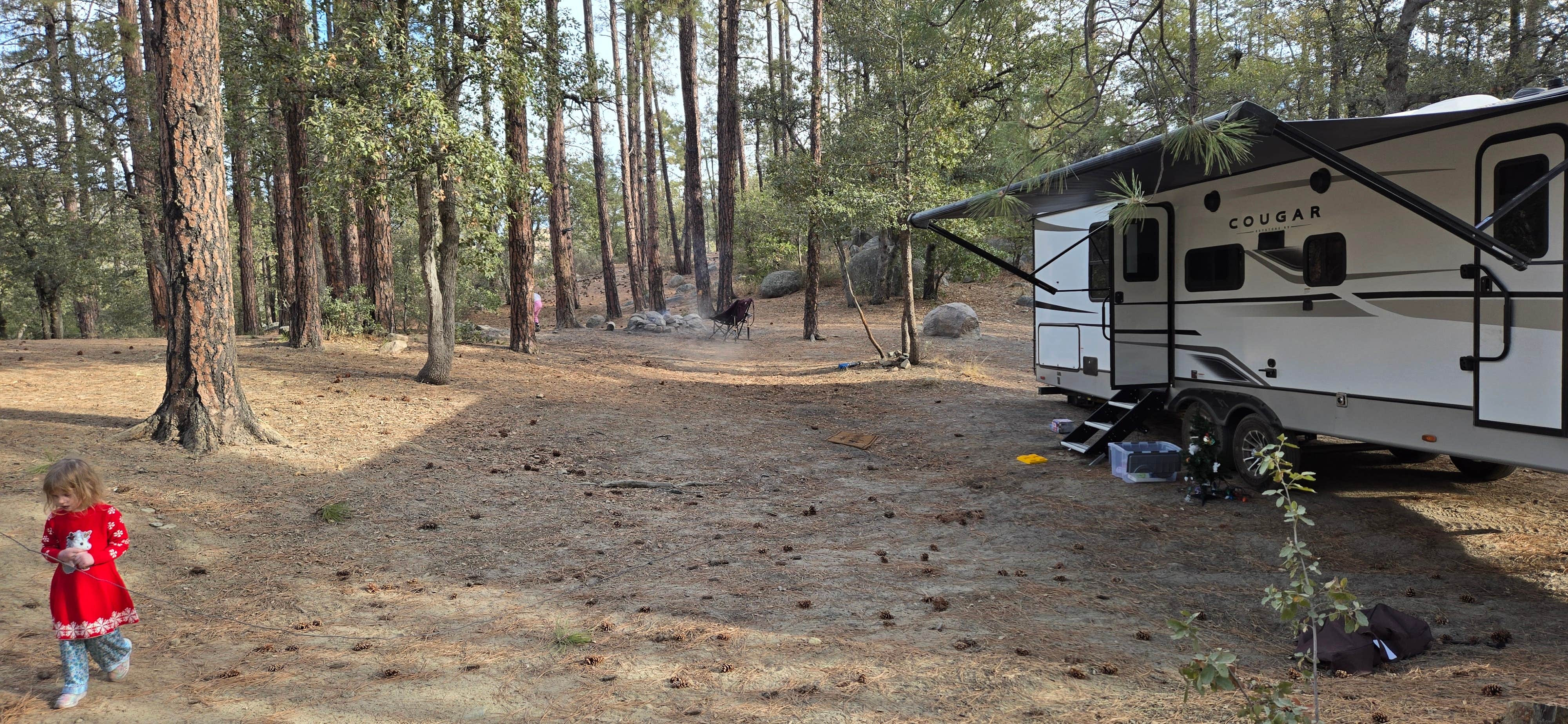 Patrick L.'s photo at Dispersed camping near Crown King near Sun City West, AZ