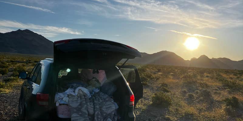 Camper submitted image from Pinto Peak View Camp