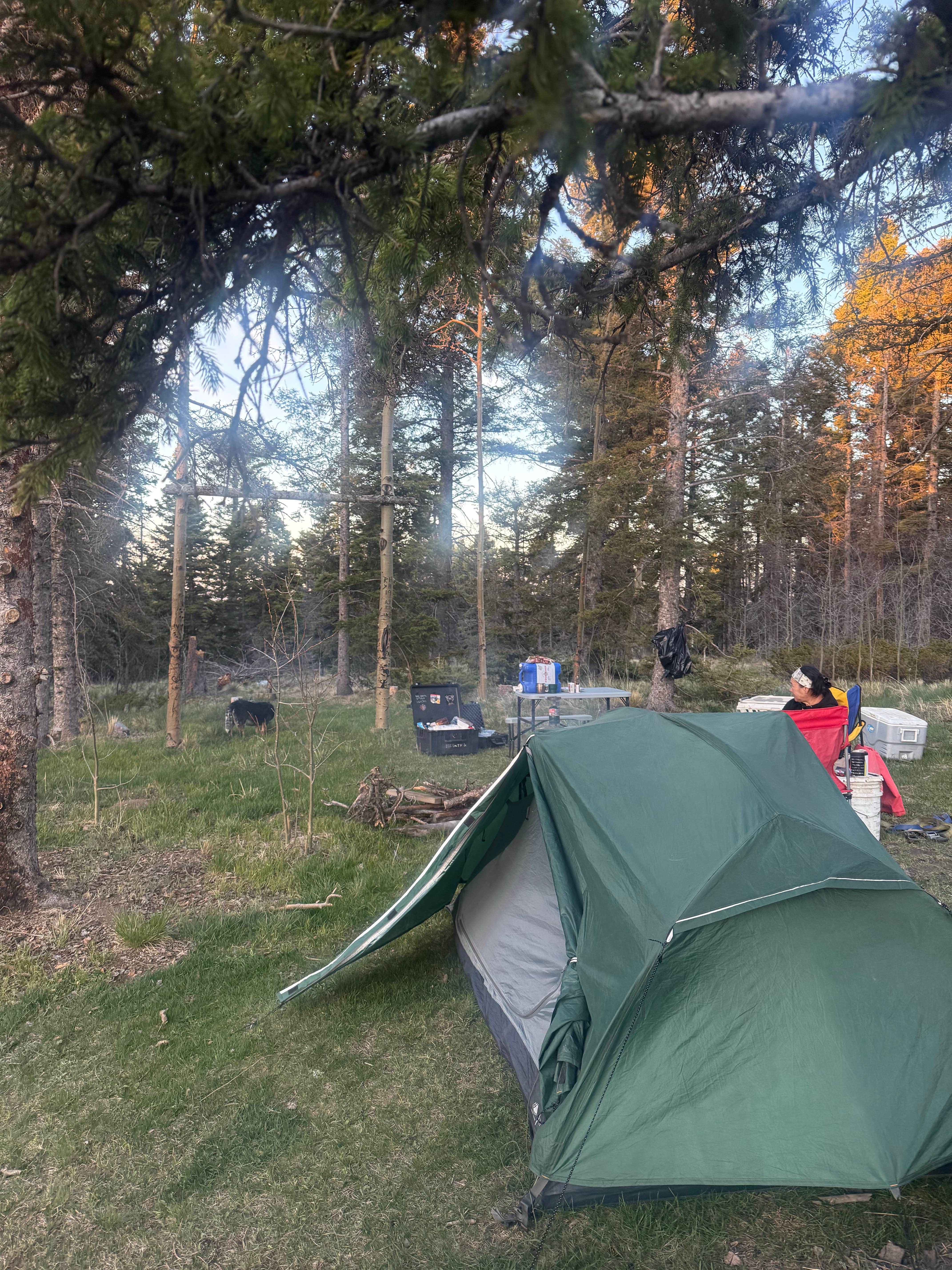 John S.'s photo at Dispersed Camping Near Hopewell Lake near Antonito, CO