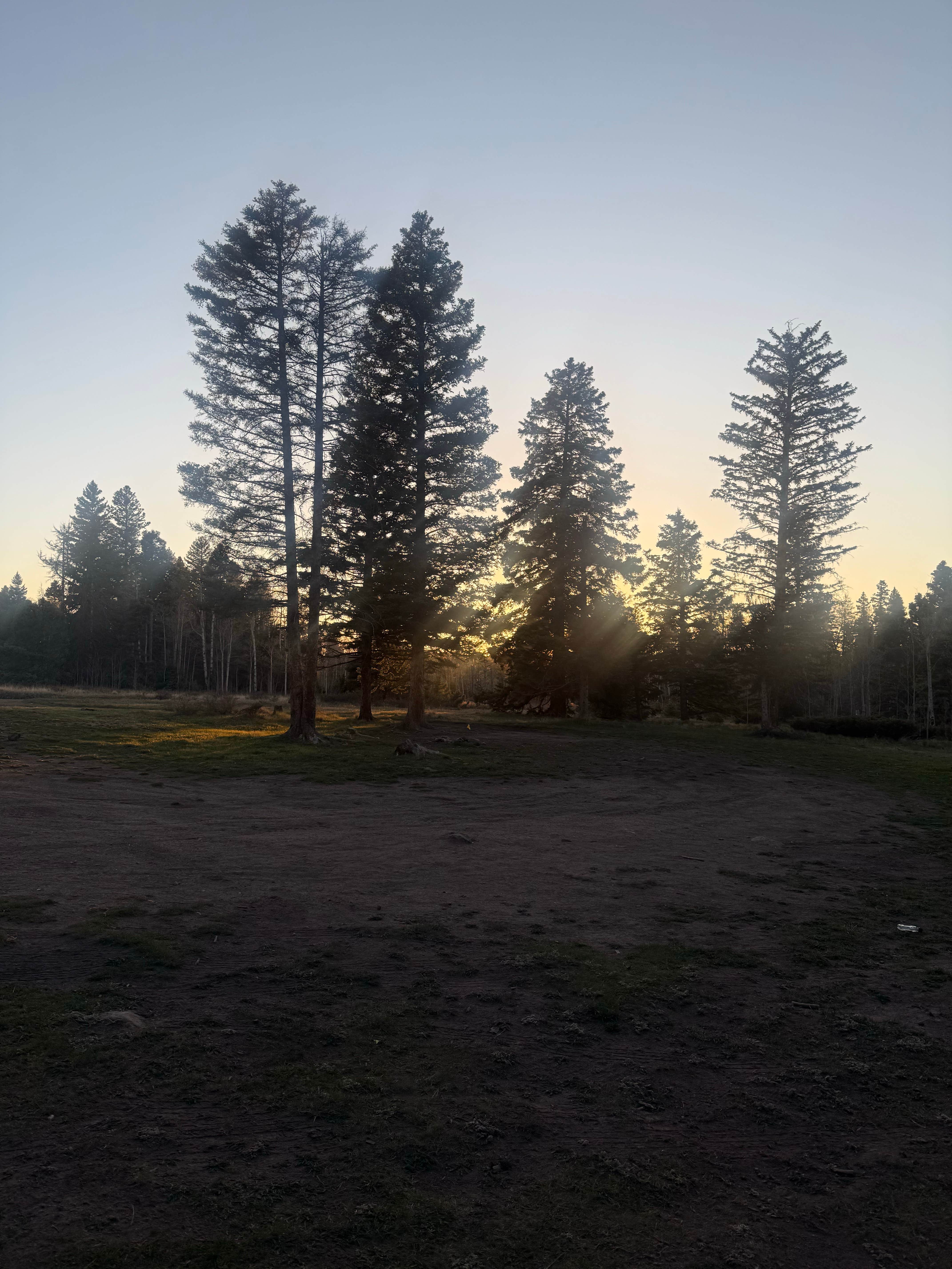 Camper-submitted photo at Dispersed Camping Near Hopewell Lake near El Rito, NM