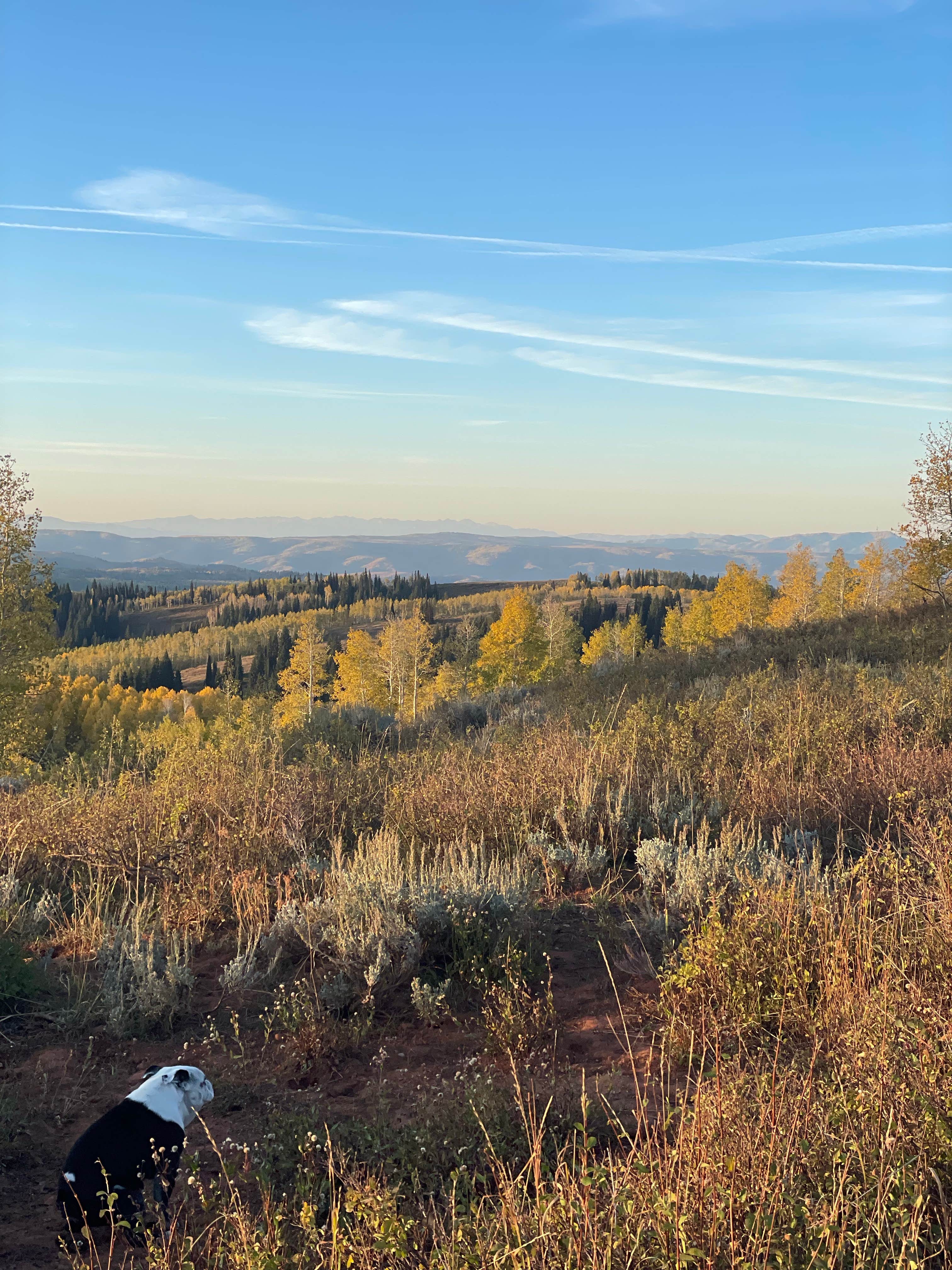 Colyer D.'s photo of a dispersed camping area at Dispersed camping near Monte Cristo near Paradise, UT