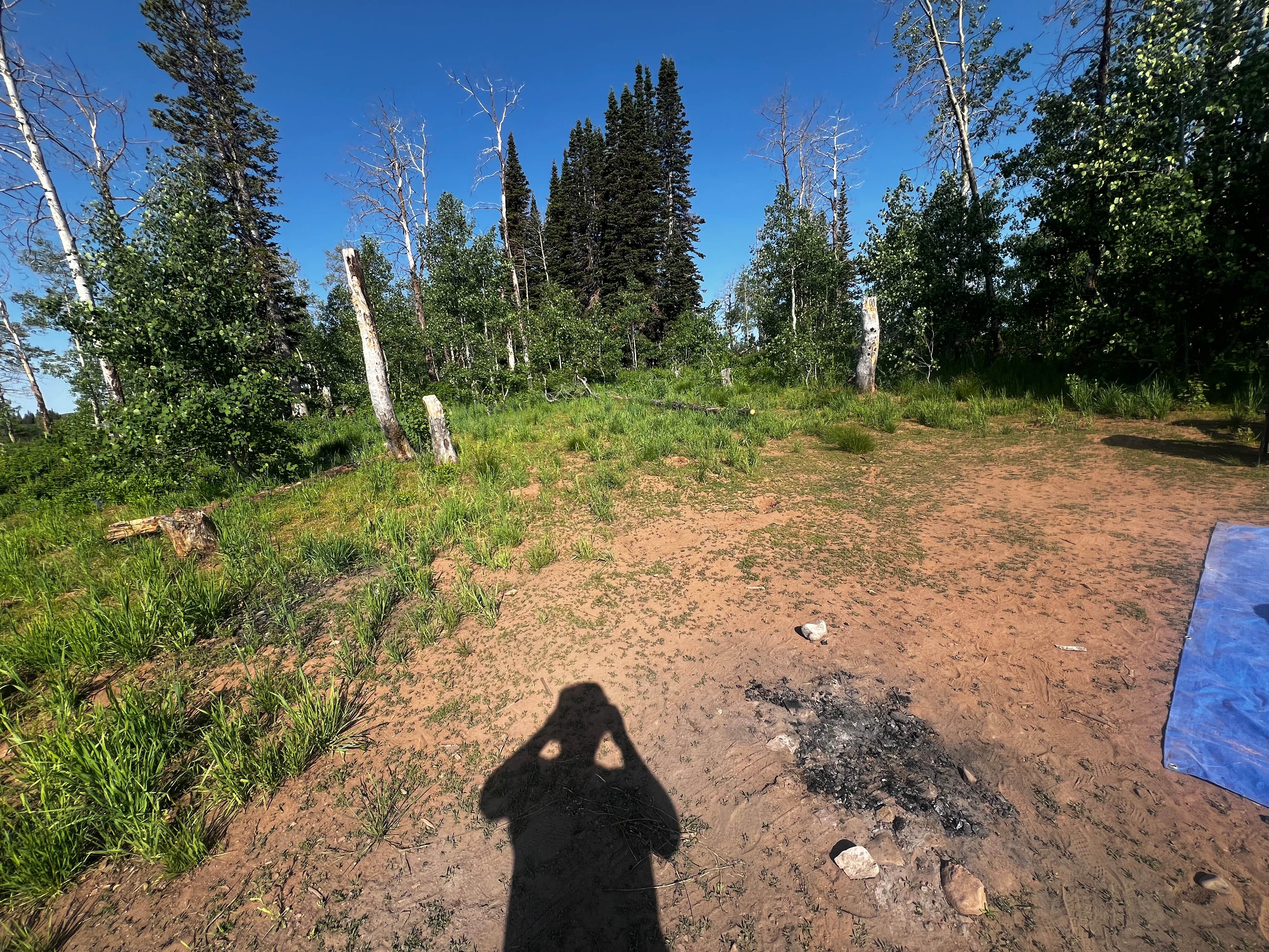 Camper-submitted photo at Dispersed camping near Monte Cristo near Paradise, UT