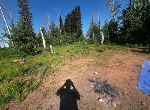 Dispersed camping near Monte Cristo