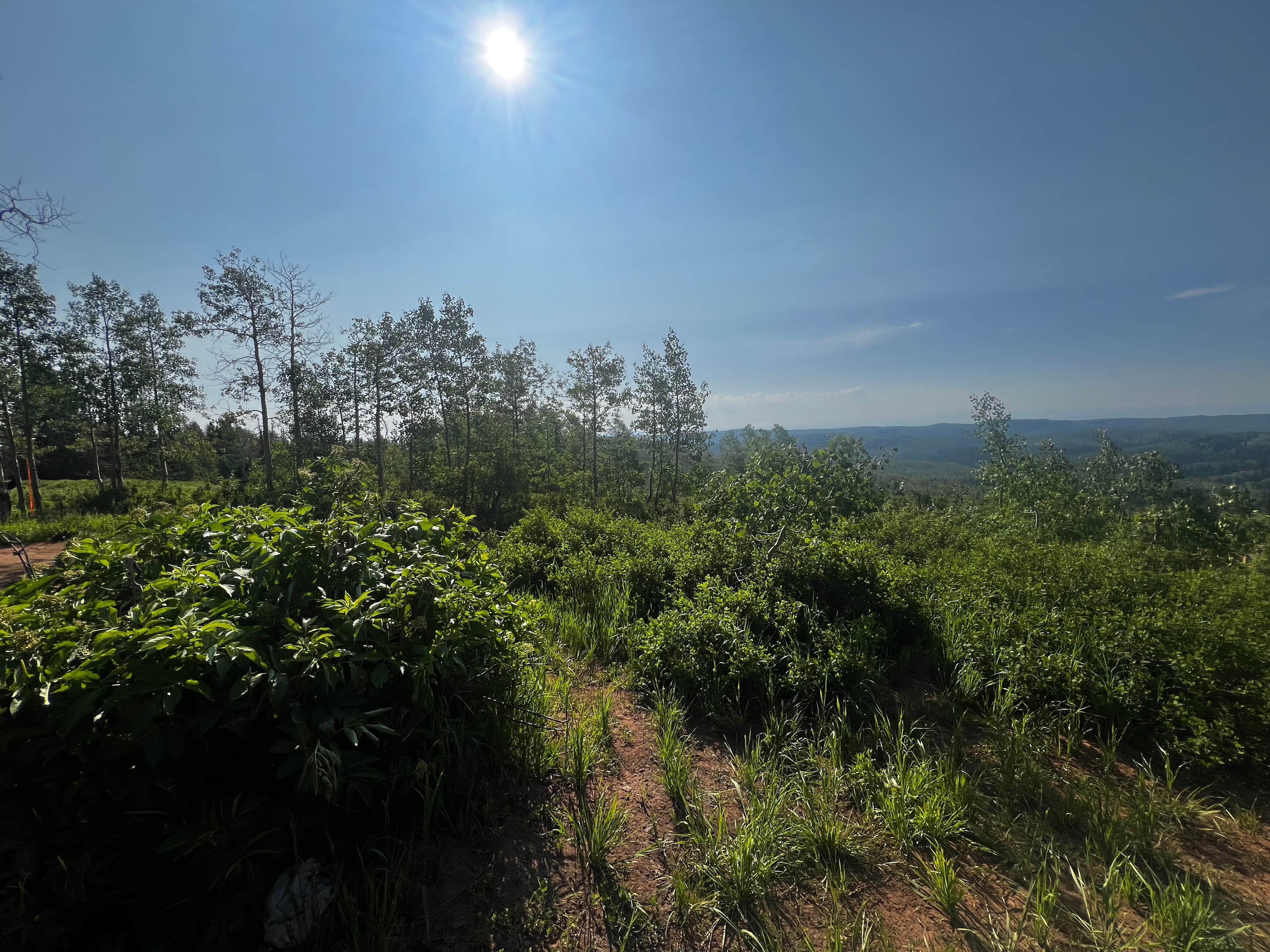 Camper-submitted photo at Dispersed camping near Monte Cristo near Paradise, UT