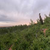 Review photo of Dispersed camping near Monte Cristo by Karson M., June 25, 2025