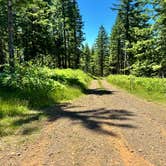 Review photo of Dispersed Camping Near Pioneer-Indian Trail in Siuslaw National Forest by Craig R., July 4, 2024