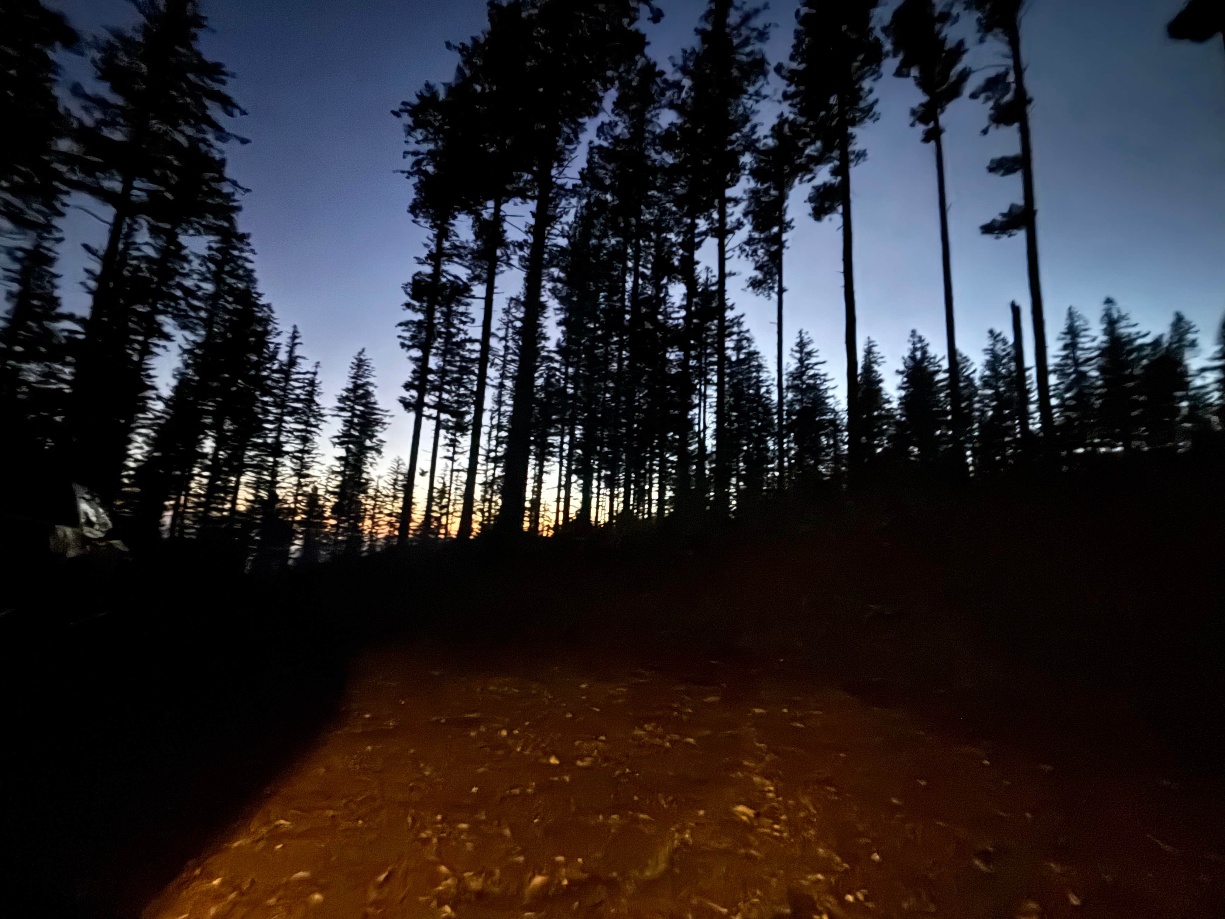 Camper-submitted photo at Dispersed Camping Near Pioneer-Indian Trail in Siuslaw National Forest near Hillsboro, OR