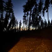 Review photo of Dispersed Camping Near Pioneer-Indian Trail in Siuslaw National Forest by Crispin S., October 18, 2025