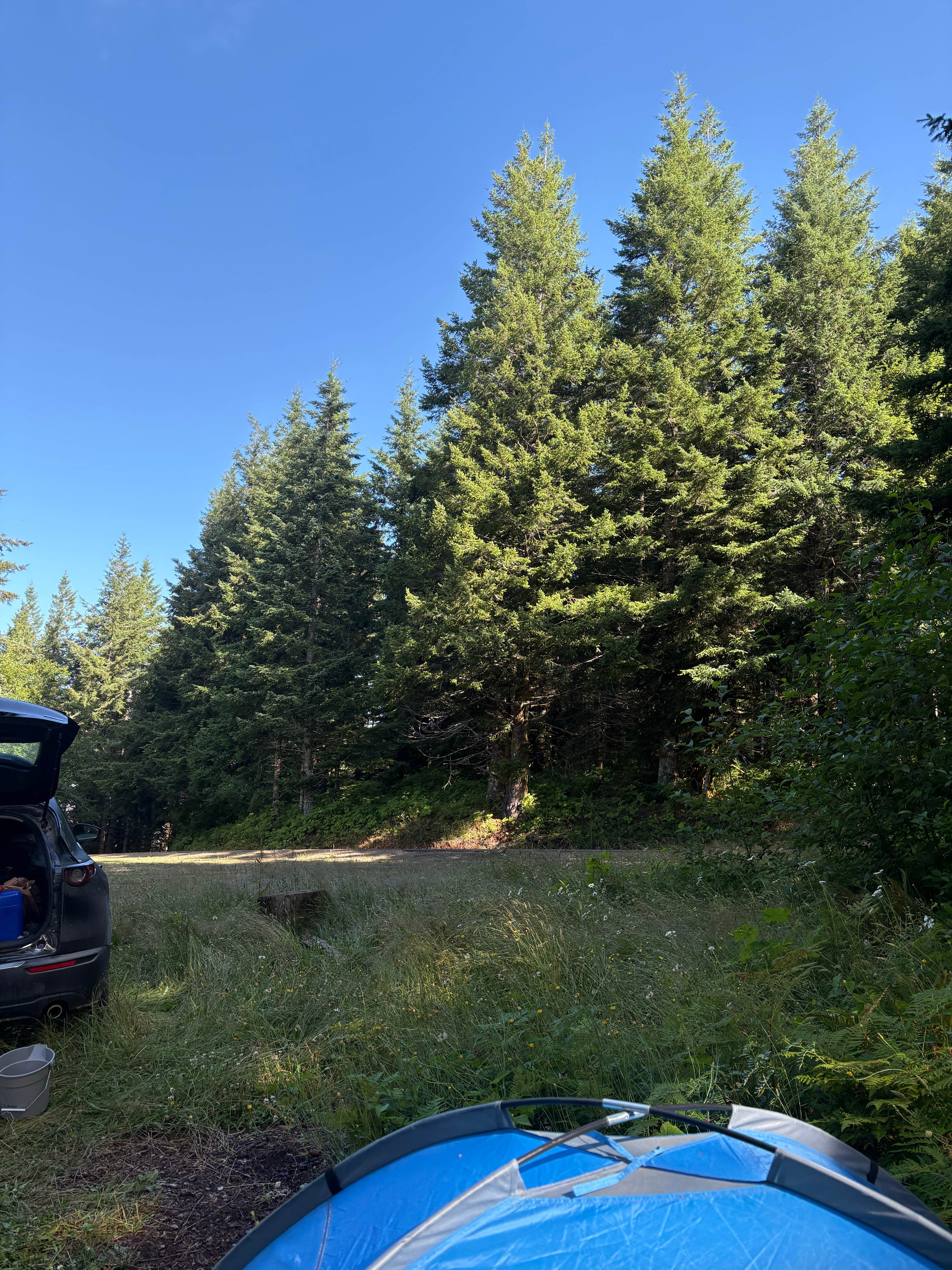 Camper-submitted photo at Dispersed Camping Near Pioneer-Indian Trail in Siuslaw National Forest near Pacific City, OR