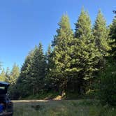 Review photo of Dispersed Camping Near Pioneer-Indian Trail in Siuslaw National Forest by Aimee H., July 29, 2026