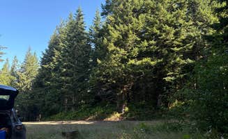 Aimee H.'s photo at Dispersed Camping Near Pioneer-Indian Trail in Siuslaw National Forest near Beaver, OR