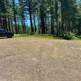 Review photo of Dispersed Camping Near Pioneer-Indian Trail in Siuslaw National Forest by Craig R., July 4, 2024