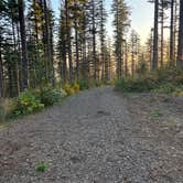 Review photo of Dispersed Camping Near Pioneer-Indian Trail in Siuslaw National Forest by Crispin S., October 18, 2025