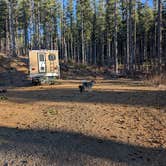 Review photo of Dispersed Camping Near Pioneer-Indian Trail in Siuslaw National Forest by Mike S., January 29, 2025