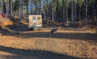 Mike S.'s photo of camping with pets at Dispersed Camping Near Pioneer-Indian Trail in Siuslaw National Forest near Grand Ronde, OR