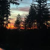 Review photo of Dispersed Camping Near Pioneer-Indian Trail in Siuslaw National Forest by Teresa A., December 30, 2025
