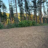 Review photo of Dispersed Camping Near Pioneer-Indian Trail in Siuslaw National Forest by Luna E., September 20, 2025