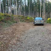 Review photo of Dispersed Camping Near Pioneer-Indian Trail in Siuslaw National Forest by Crispin S., October 18, 2025