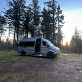 Review photo of Dispersed Camping Near Pioneer-Indian Trail in Siuslaw National Forest by Teresa A., December 30, 2025