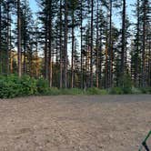 Review photo of Dispersed Camping Near Pioneer-Indian Trail in Siuslaw National Forest by Luna E., September 20, 2025
