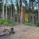 Review photo of Dispersed Camping Near Pioneer-Indian Trail in Siuslaw National Forest by Luna E., September 20, 2025