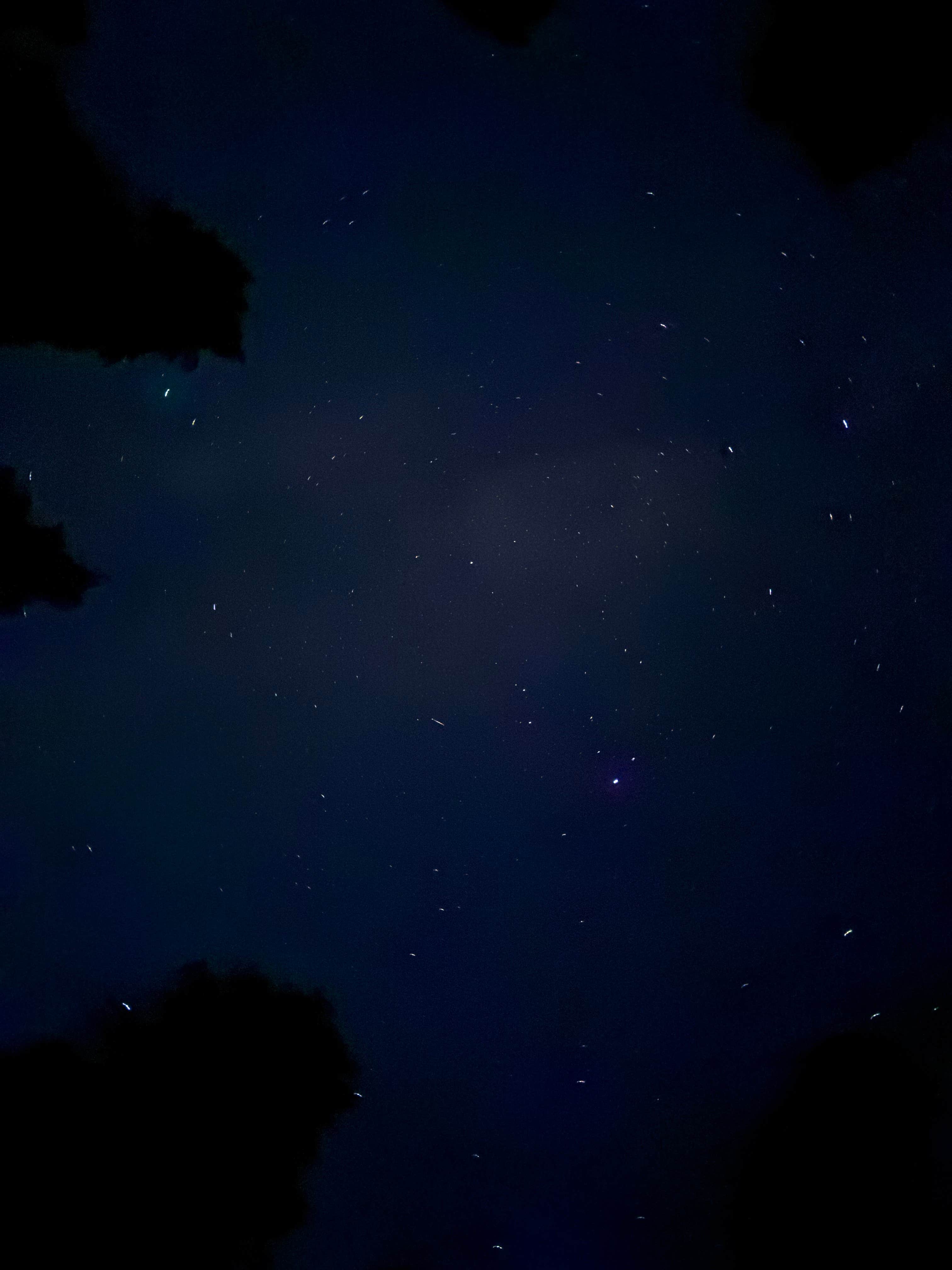 Camper-submitted photo at Dispersed Camping Near Pioneer-Indian Trail in Siuslaw National Forest near Beaver, OR