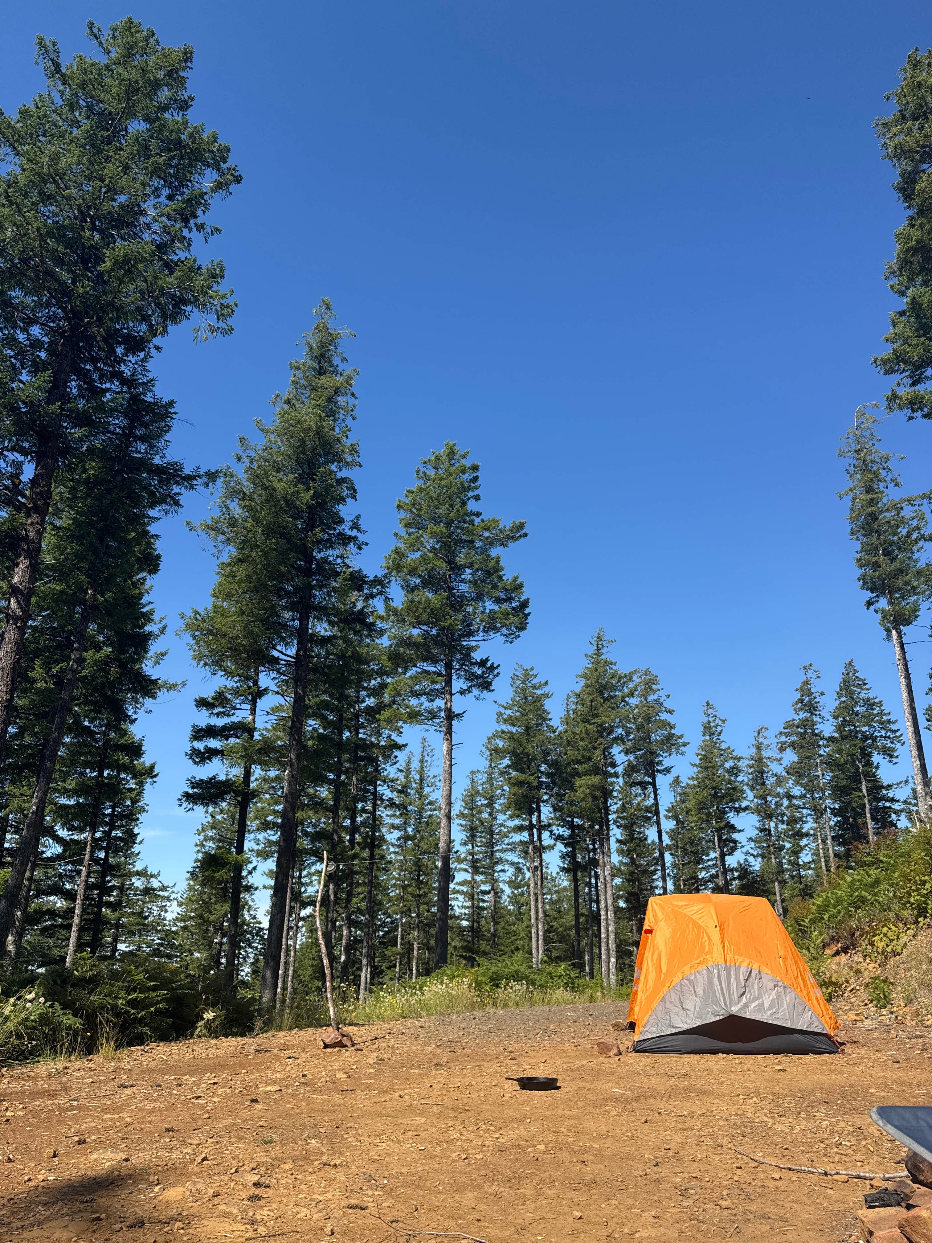 Camper-submitted photo at Dispersed Camping Near Pioneer-Indian Trail in Siuslaw National Forest near Hillsboro, OR