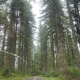 Review photo of Dispersed Camping Near Pioneer-Indian Trail in Siuslaw National Forest by Aimee H., July 29, 2026