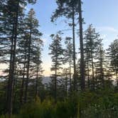 Review photo of Dispersed Camping Near Pioneer-Indian Trail in Siuslaw National Forest by Megan N., July 31, 2025