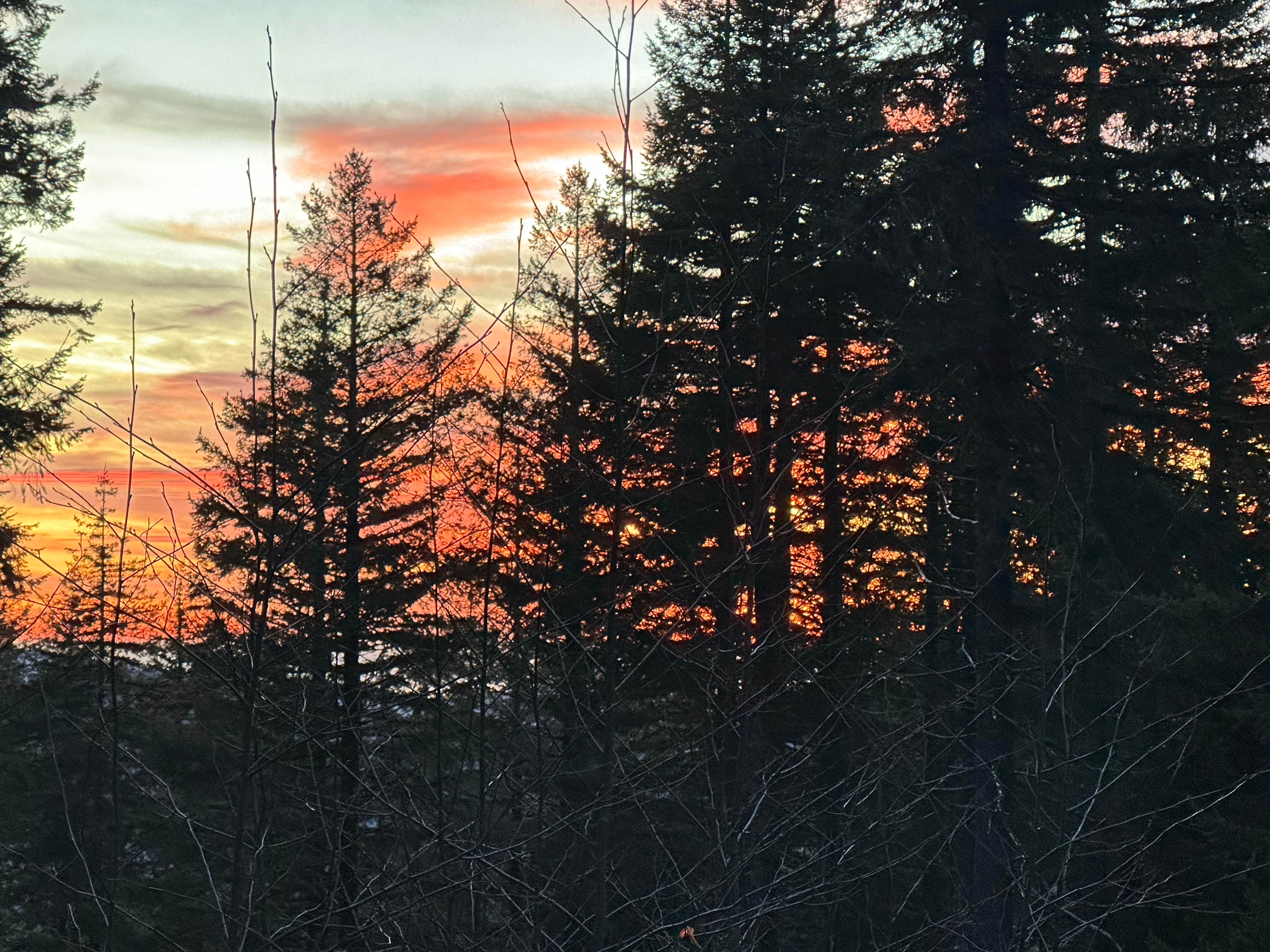 Camper-submitted photo at Dispersed Camping Near Pioneer-Indian Trail in Siuslaw National Forest near Otter Rock, OR
