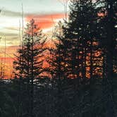 Review photo of Dispersed Camping Near Pioneer-Indian Trail in Siuslaw National Forest by Teresa A., December 30, 2025