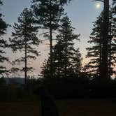 Review photo of Dispersed Camping Near Pioneer-Indian Trail in Siuslaw National Forest by Megan N., July 31, 2025