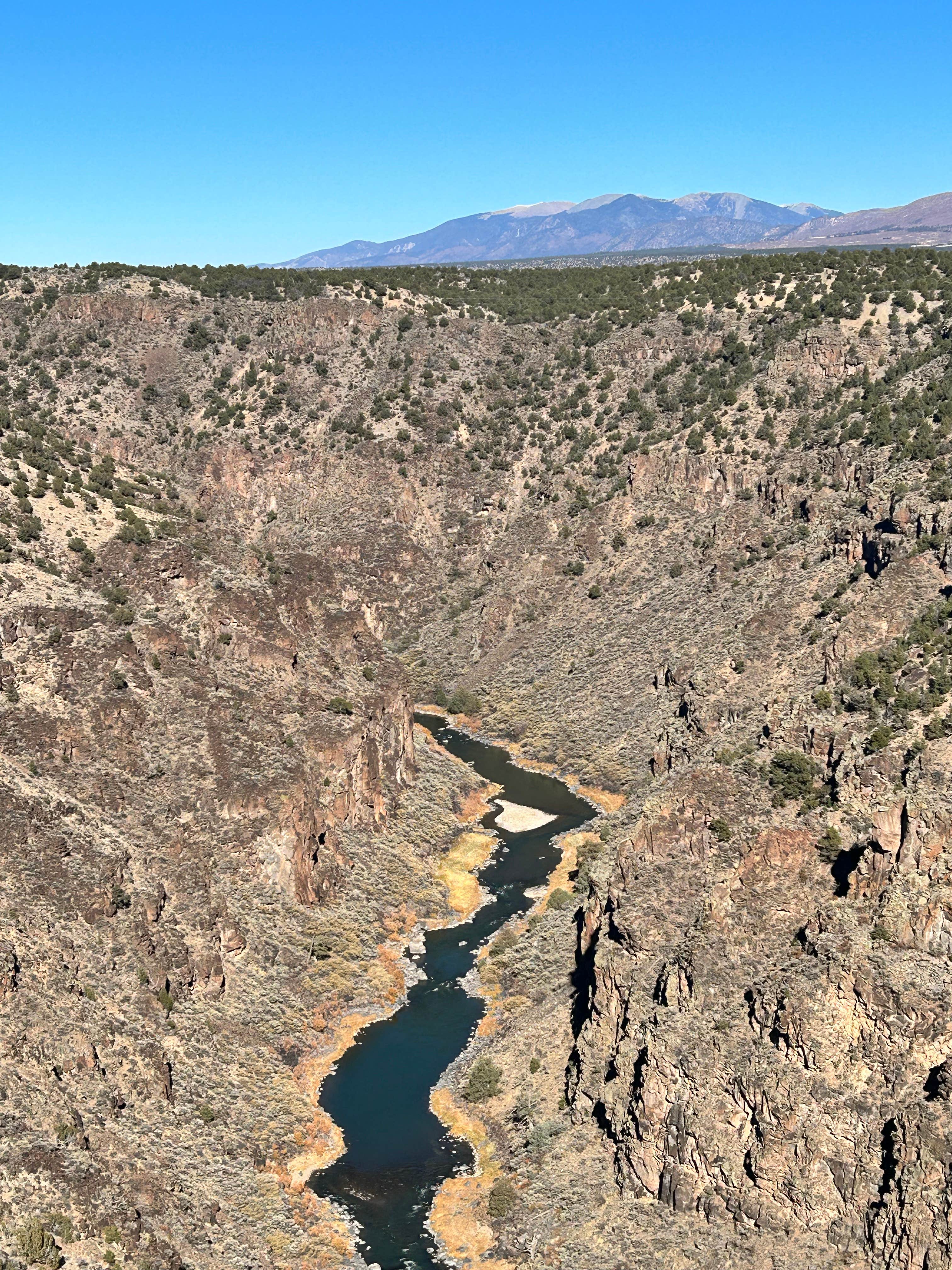 Camper submitted image from Dispersed Camping Near Taos - 1