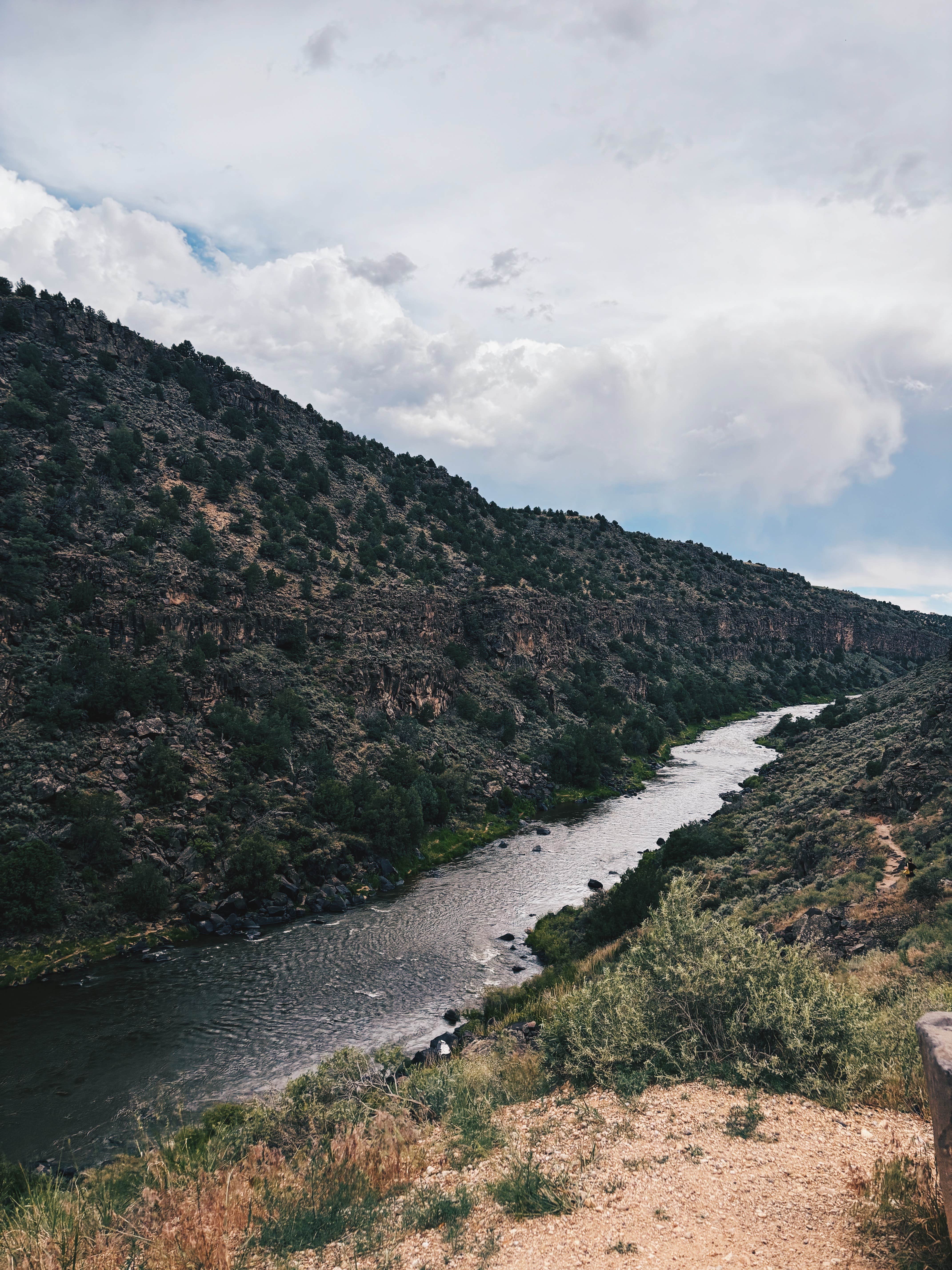 Camper submitted image from Dispersed Camping Near Taos - 5